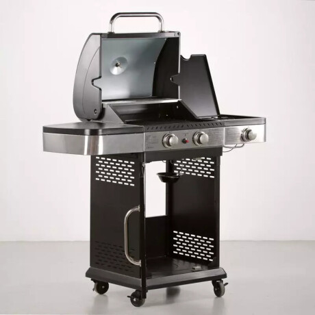 barbecue-a-gas-nuovo-big-3