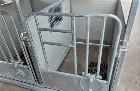 box-per-vitelli-completo-big-1
