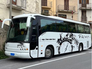 iveco-domino-2001-anno-2002-ottime-condizioni-pronto-al-lavoro
