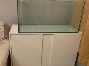 acquario-marino-artigianale-con-mobile